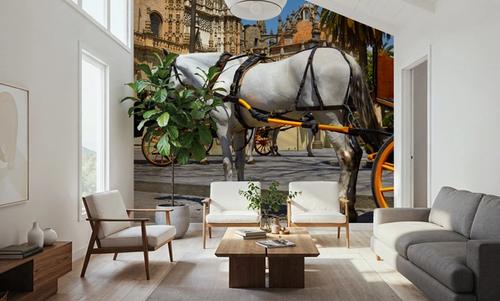 Seville Horse Carriages