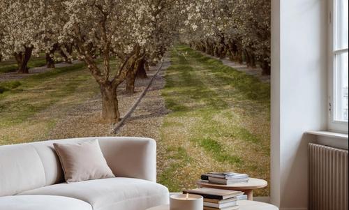 Blooming Almond Grove