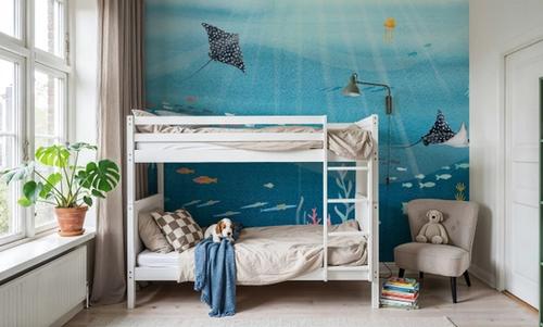 Underwater Sea Life Scenery