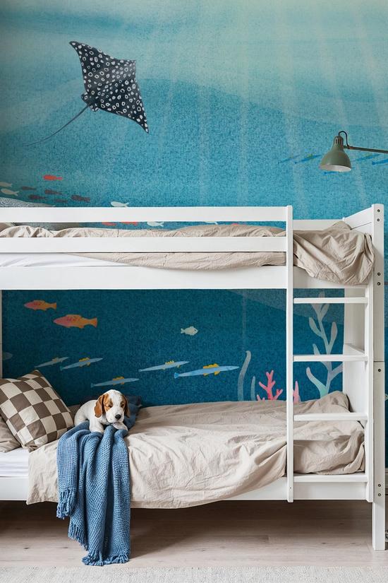 Underwater Sea Life Scenery