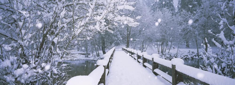 Winter Bridge Serenity
