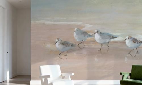 Shorebirds