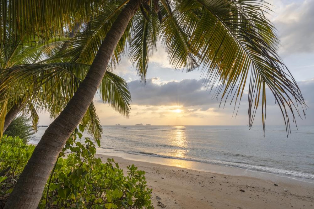 Golden Shore Sunrise