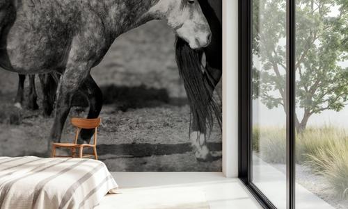 Painted Pony