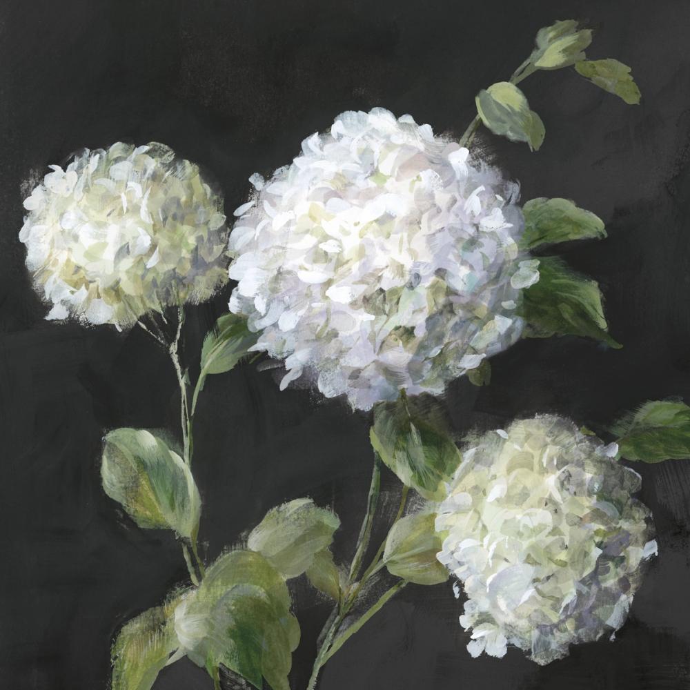 Summer Simplicity Black