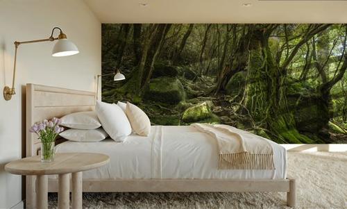 Moss Forest