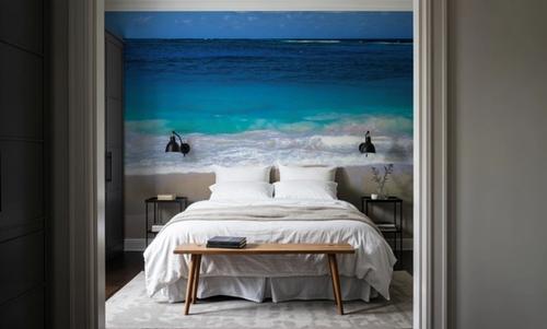 Serene Shoreline