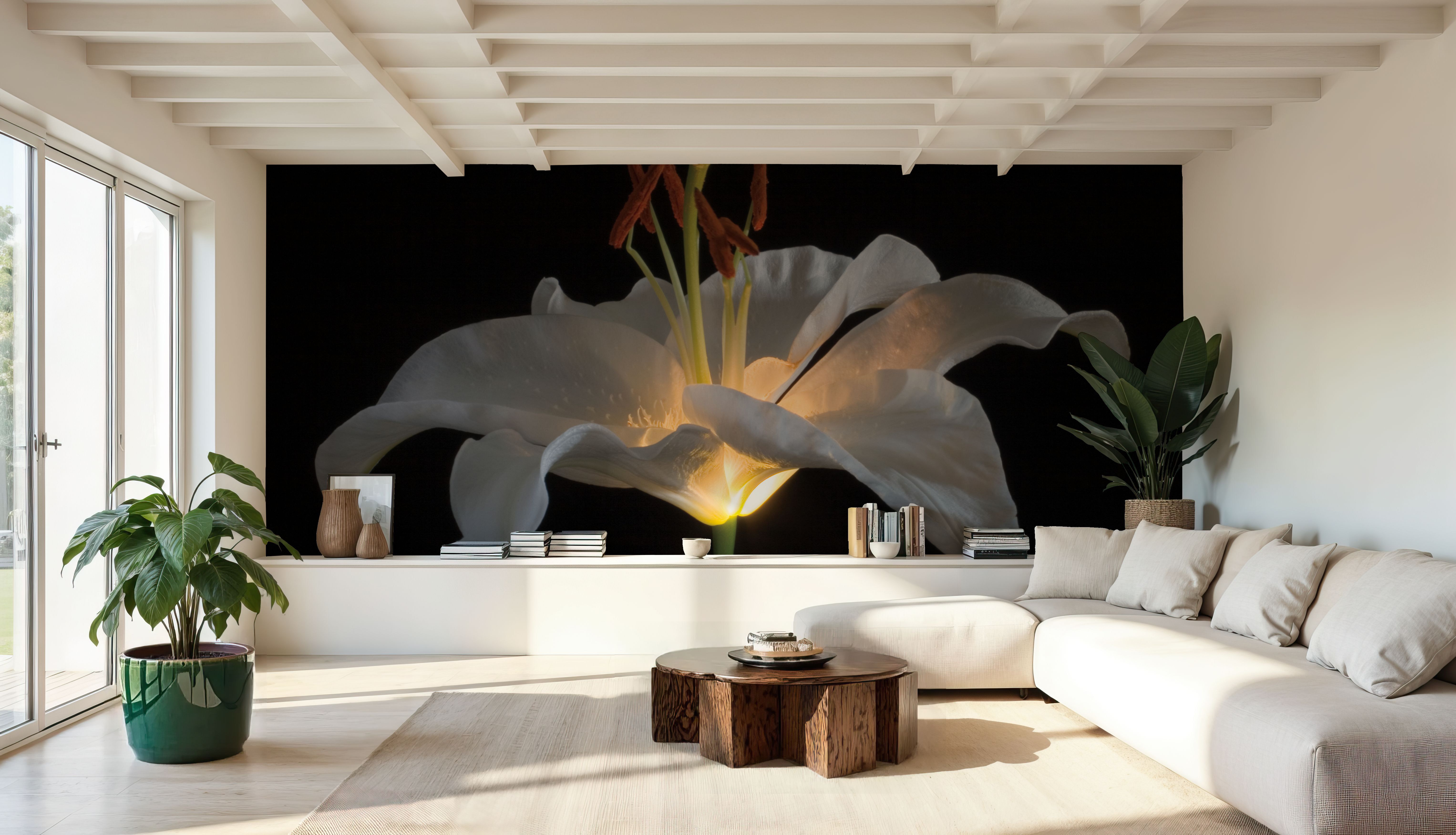 Lily Light, Carte da parati