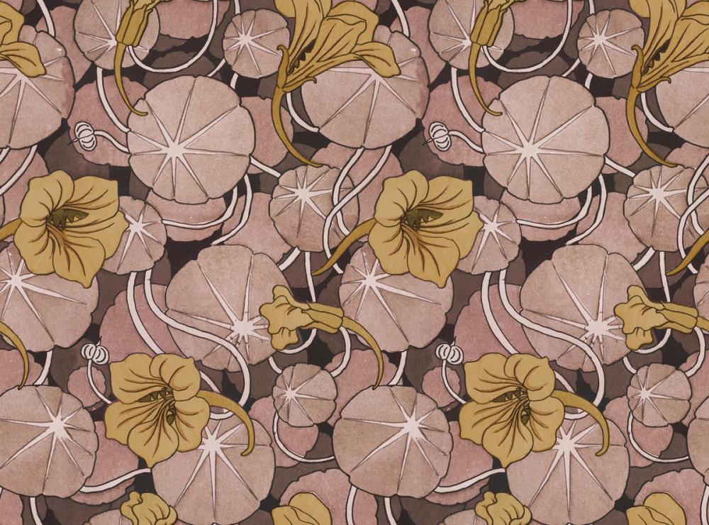 Nasturtium Verdure, Yellow