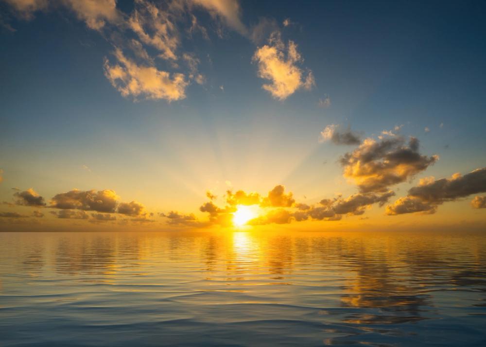 The Sunset