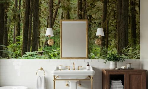Bright Quinault Rainforest