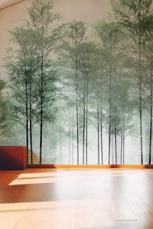 Bamboo Forest