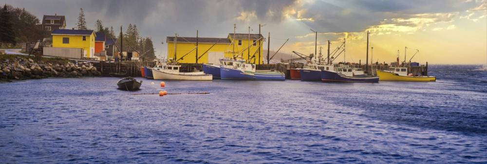 Lobster Fishing Harbour