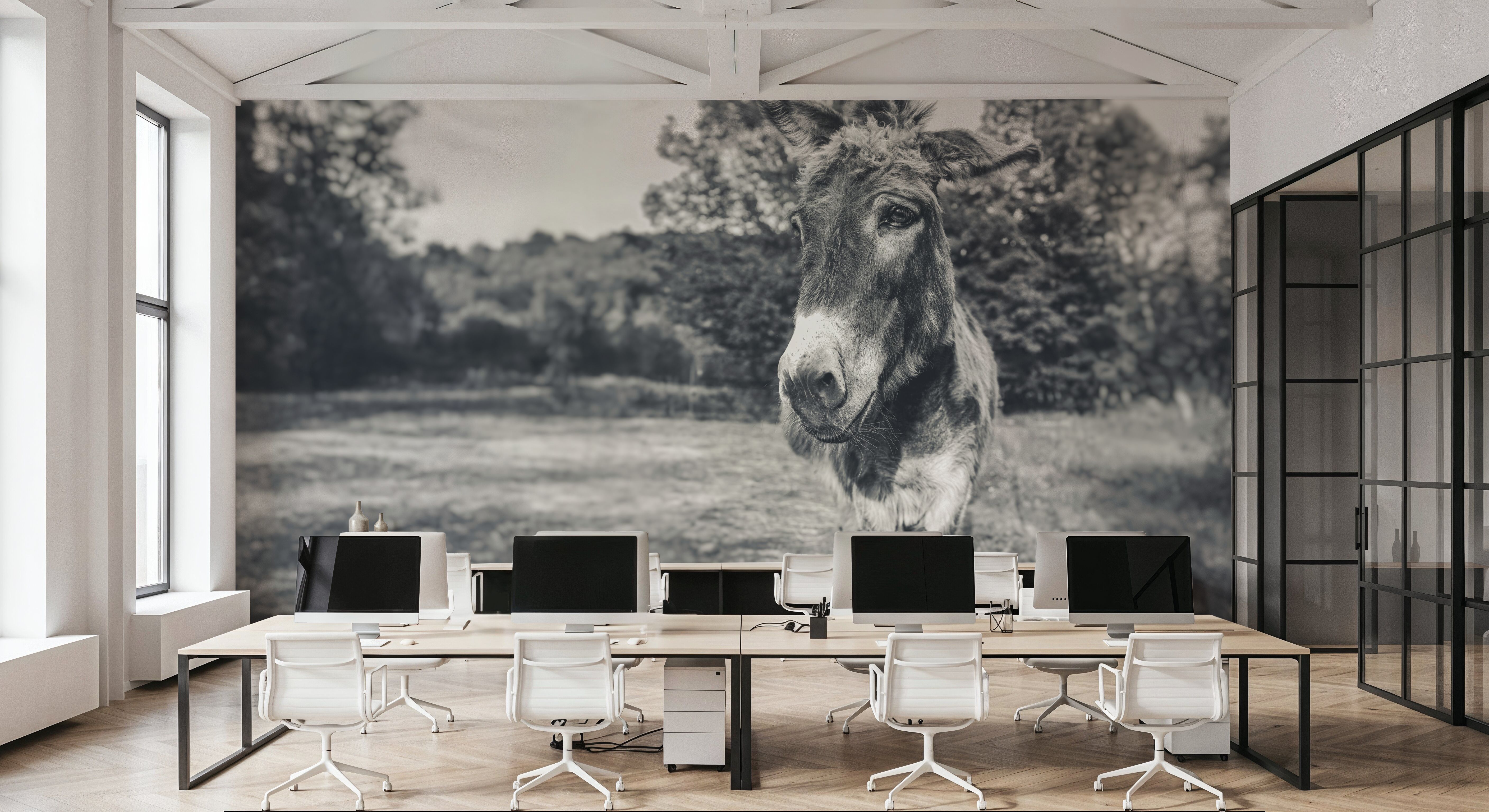 Donkey Tilt BW