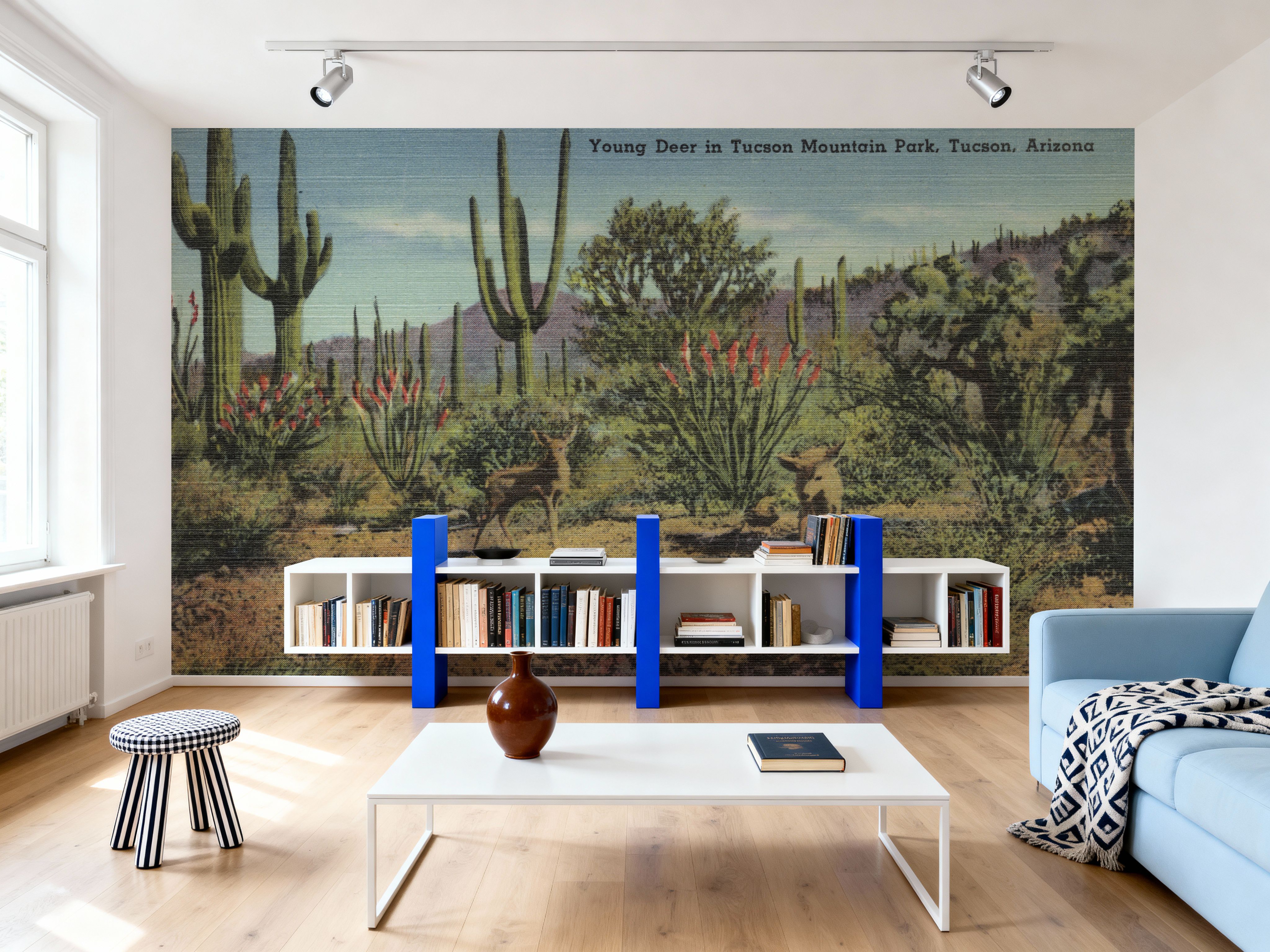 Greetings from Tucson Moutain Park - Screenprint Postcard