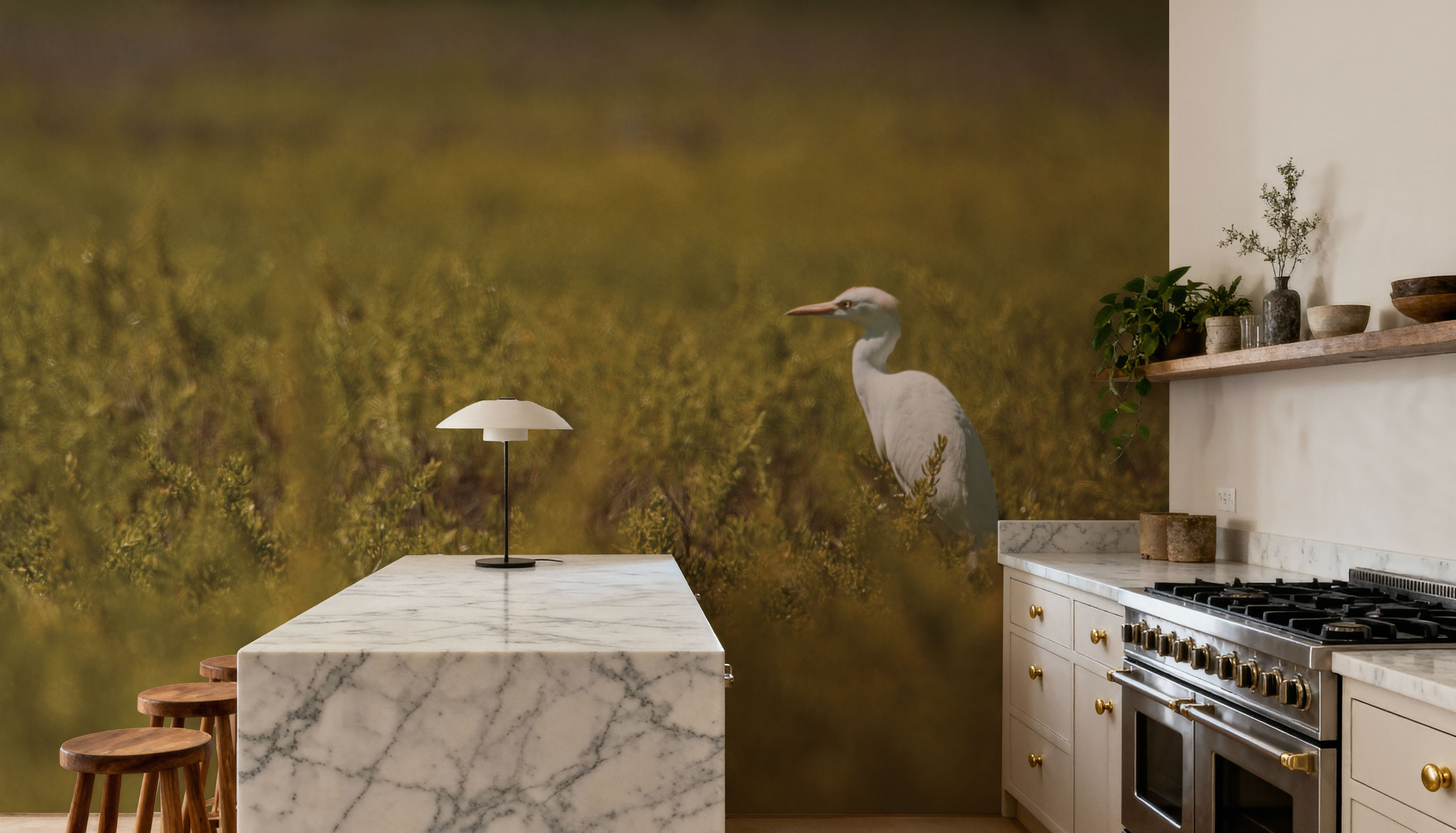 Everglades National Park, Papier peint