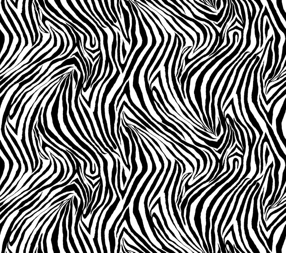A Stripe of Zebra, White