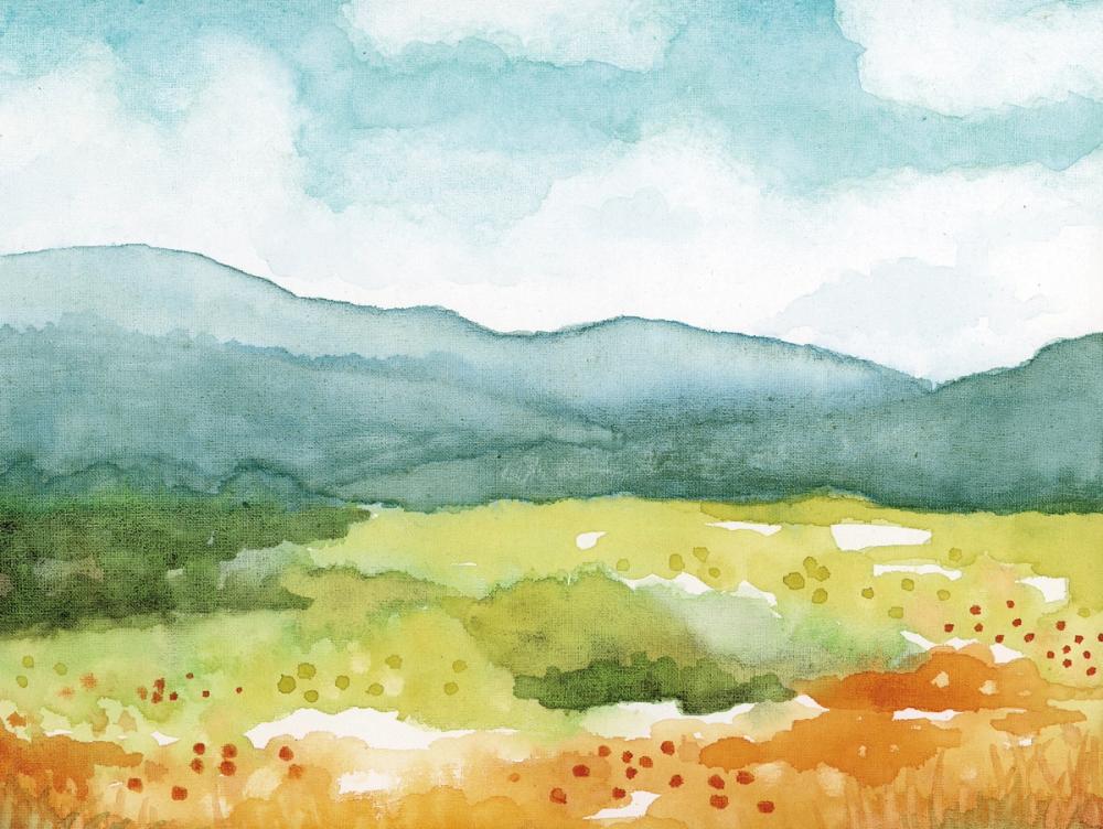 Blueridge Summer