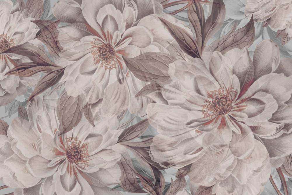 Peony Study - Pink Oyster