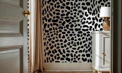 Cheetah Hiding on Repeat