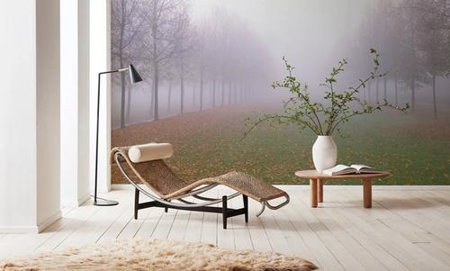 Into the Fog
