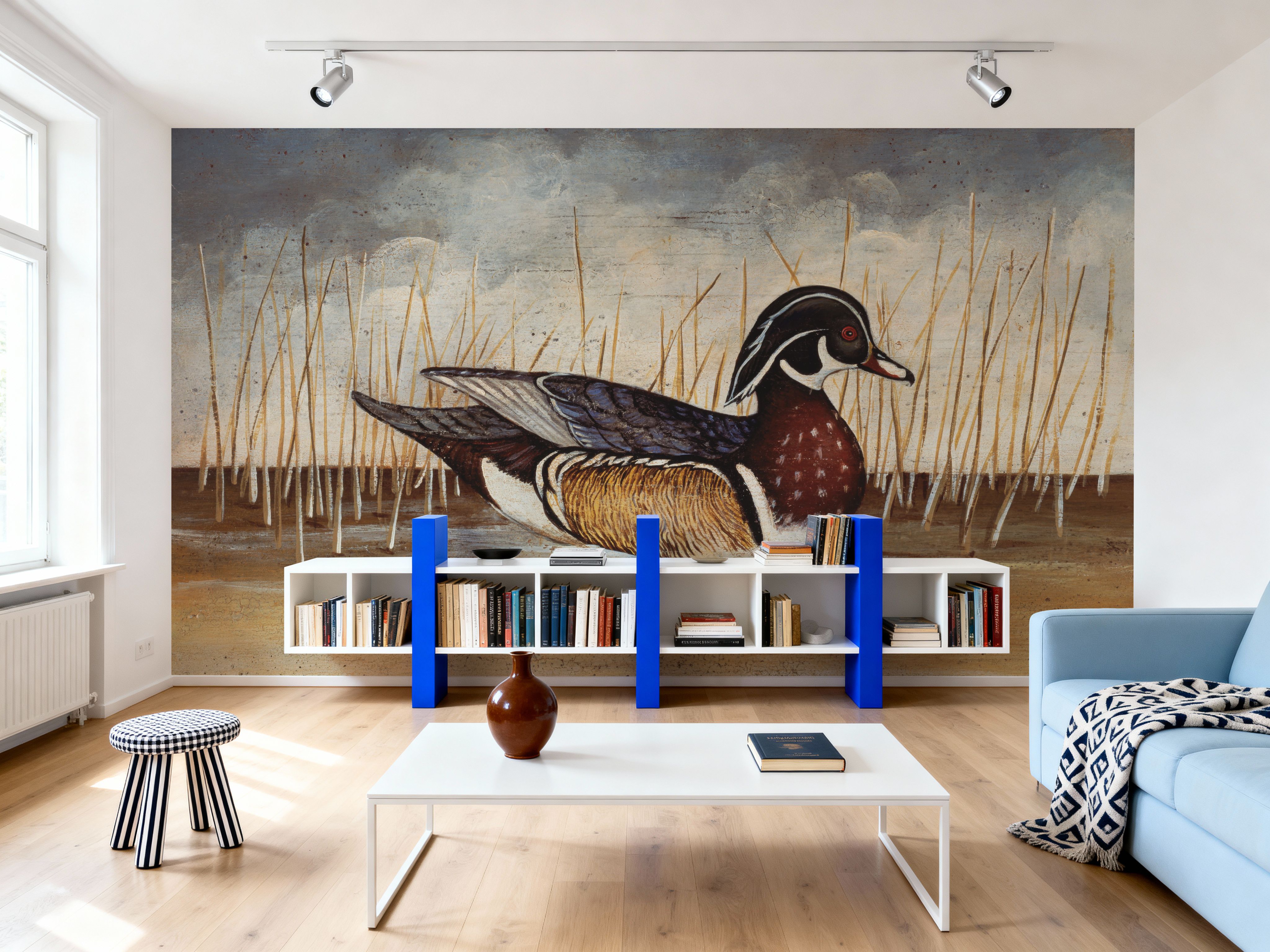 Wood Duck