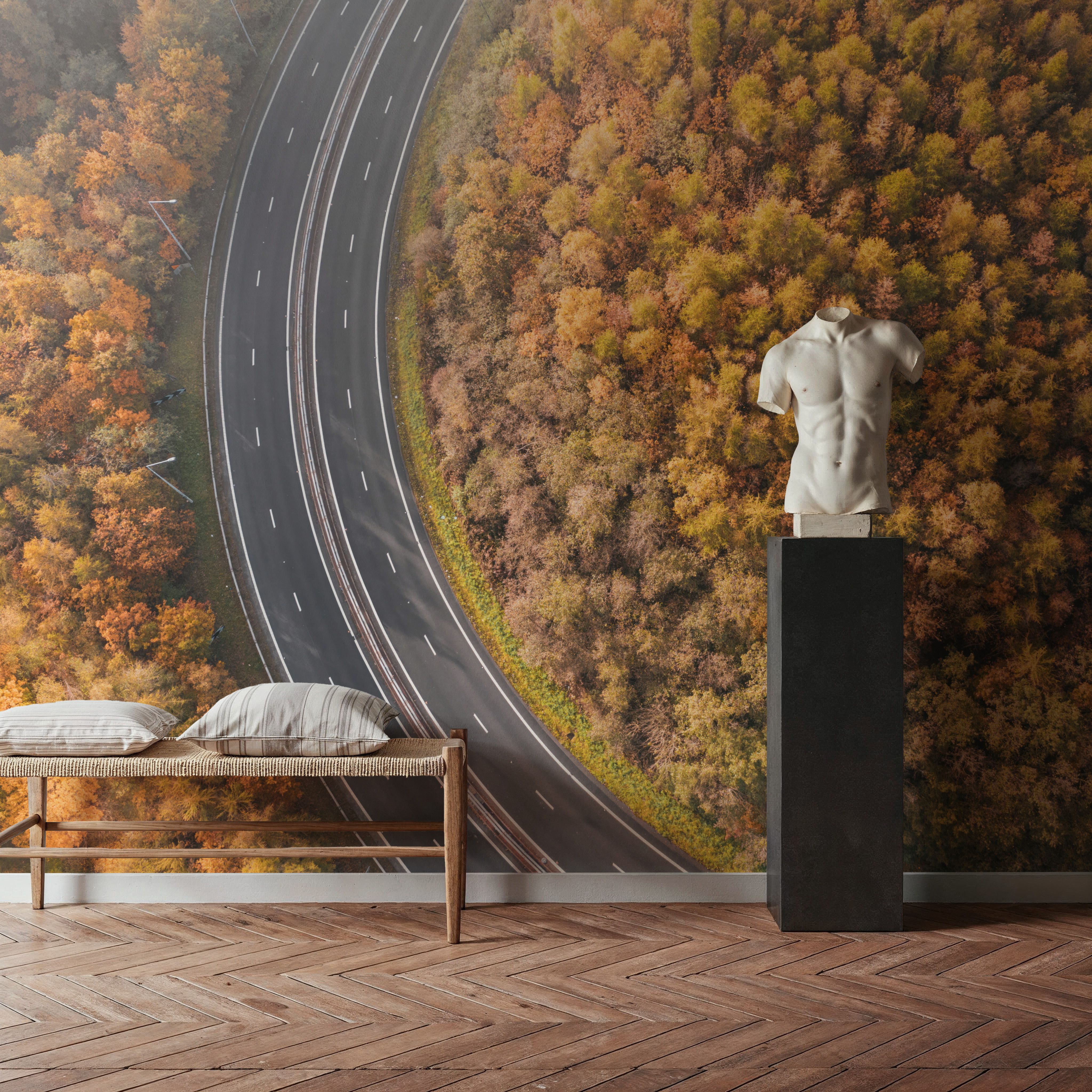 Autumn Canopy Road
