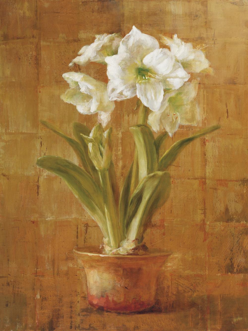 White Amaryllis on Bronze
