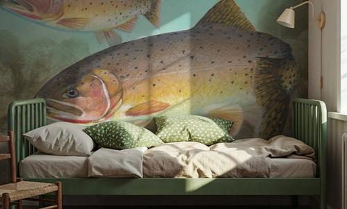 Cutthroat Trout