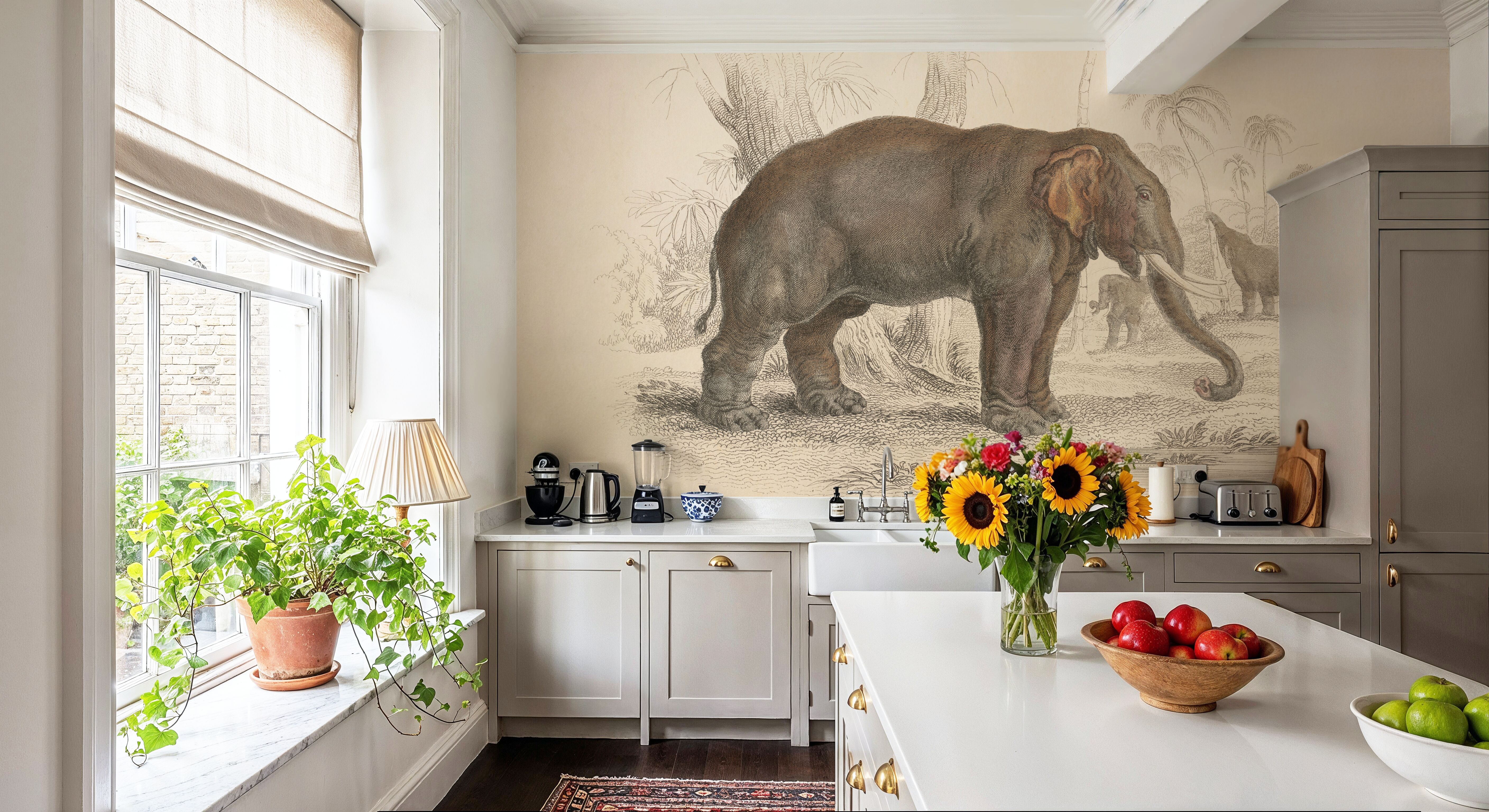 Animals of Africa III