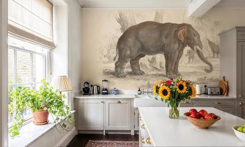 Animals of Africa III