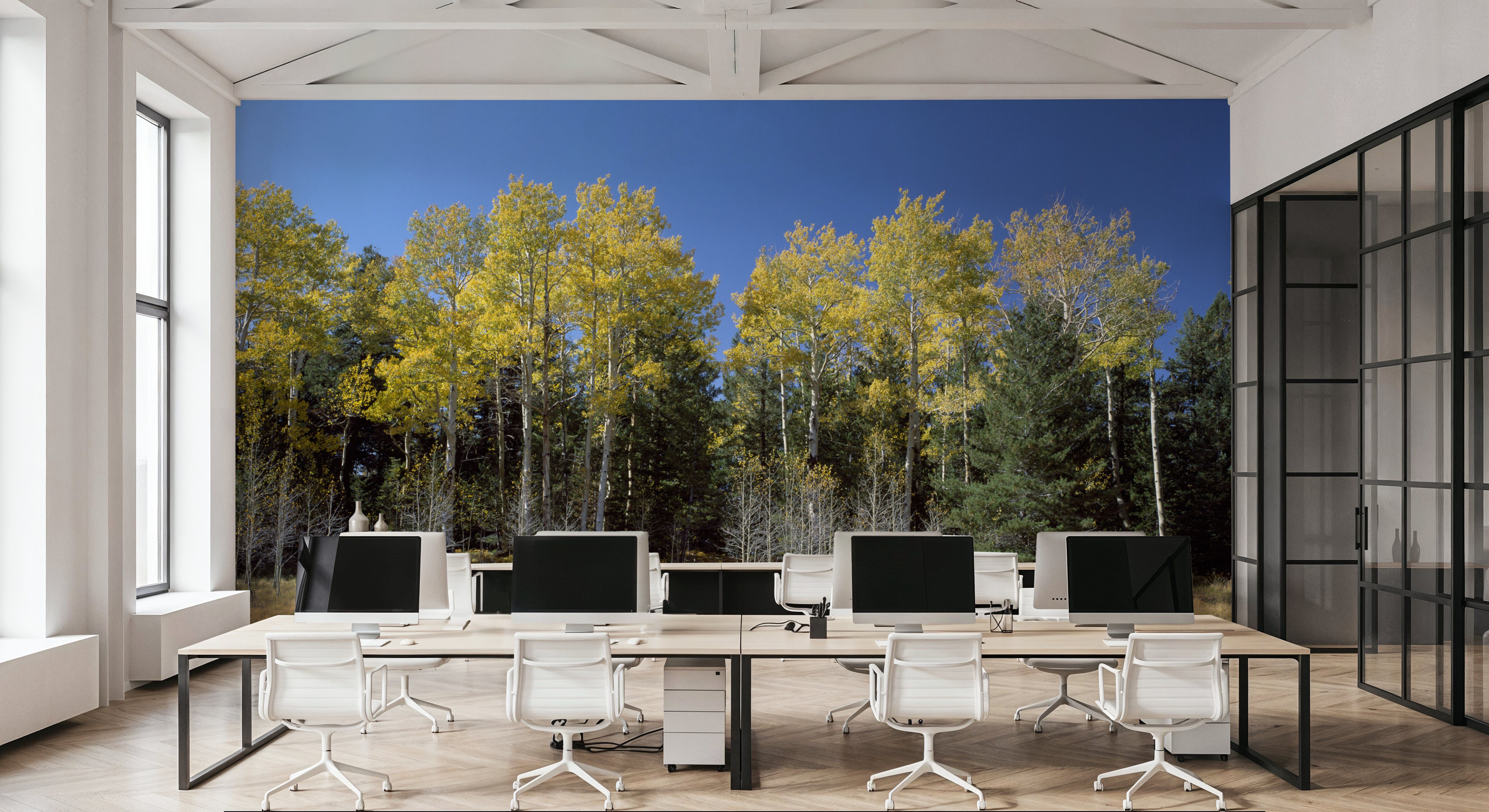 Autumn Forest Glow
