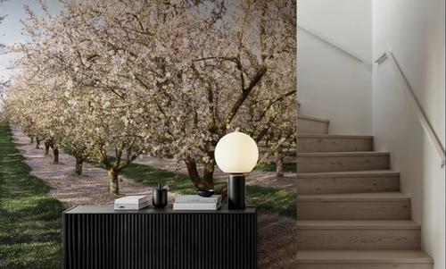 Blossoming Symmetry