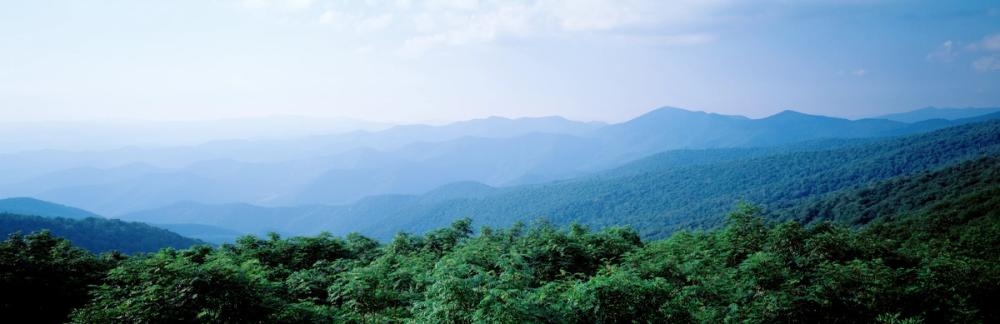 Blue Ridge Views