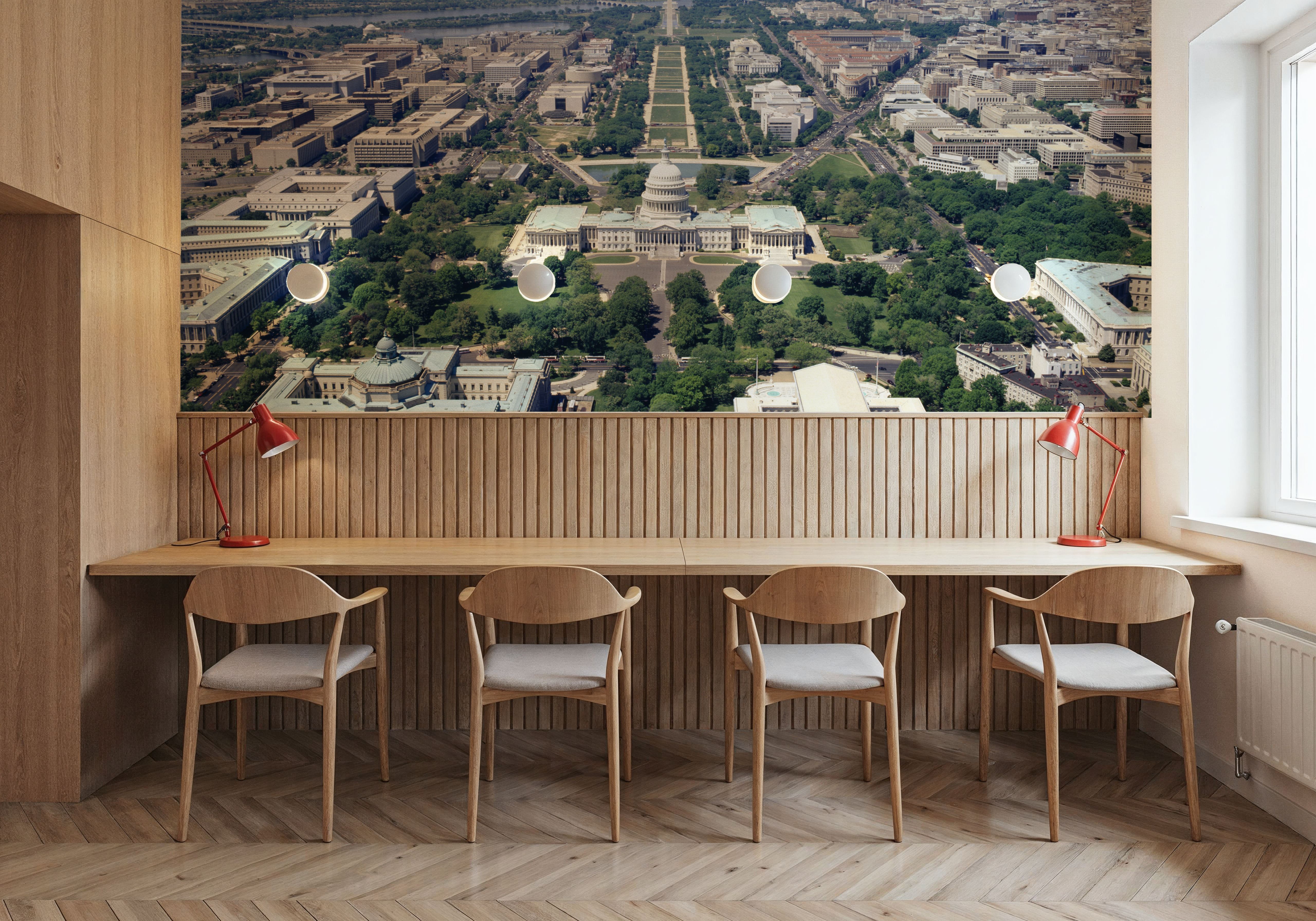 Capitol Vista