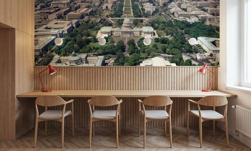 Capitol Vista
