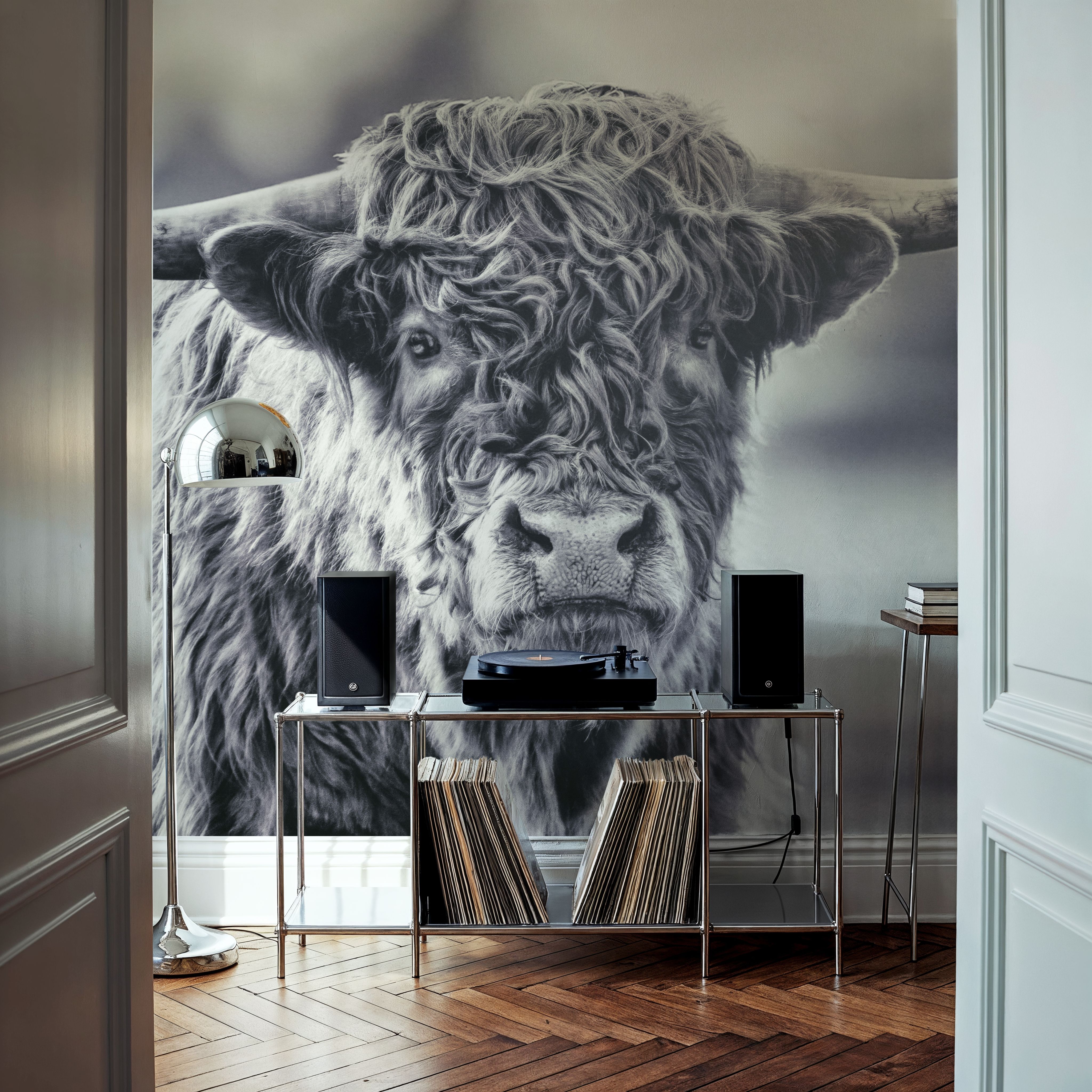 Highland Cow Pastures II