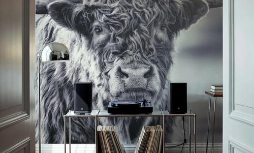 Highland Cow Pastures II