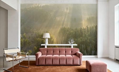 Morning Fog