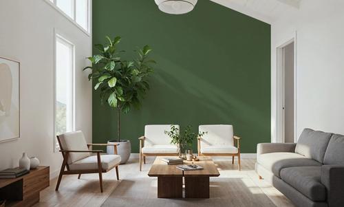 Faux Sand Stucco Finish, Moss