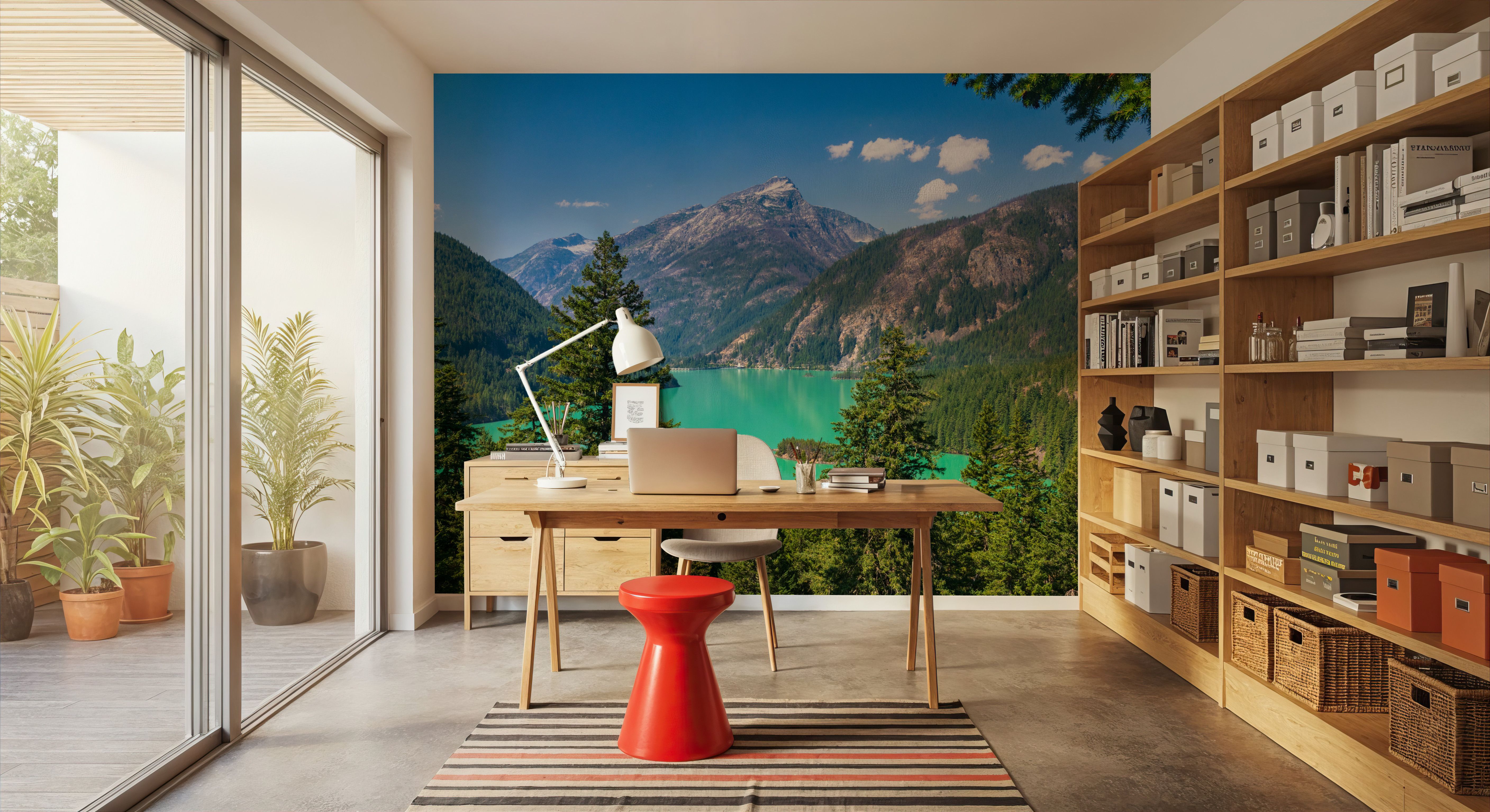 Diablo Lake I, Behang