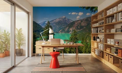 Diablo Lake I