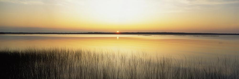 Golden Lake Whispers