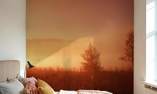 Sweden Sunrise