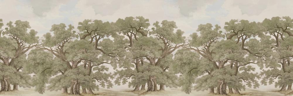 Oak Haven, Sage