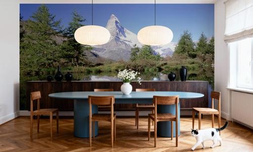 Alpine Mirror