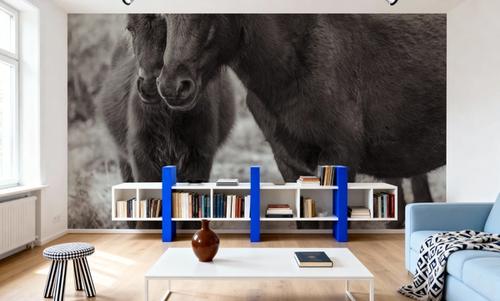Vertical Ponies