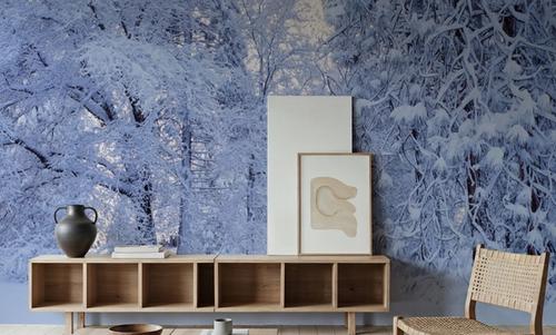 Snow-Laden Forest