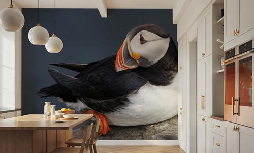 Atlantic Puffin