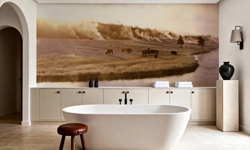 Bison Firehole River